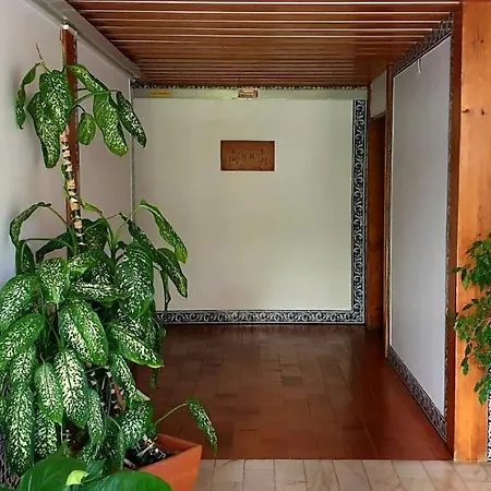 Apartament Sunny *